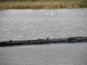 Heavy-Duty Floating Baffle Curtains